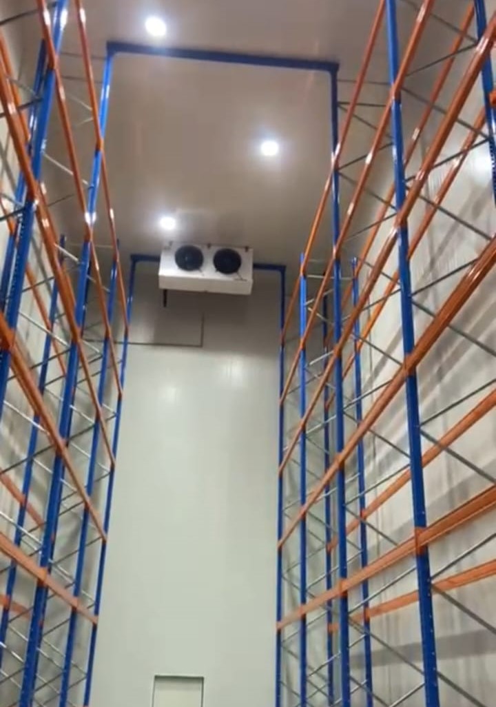 Bluestar Air Conditioner